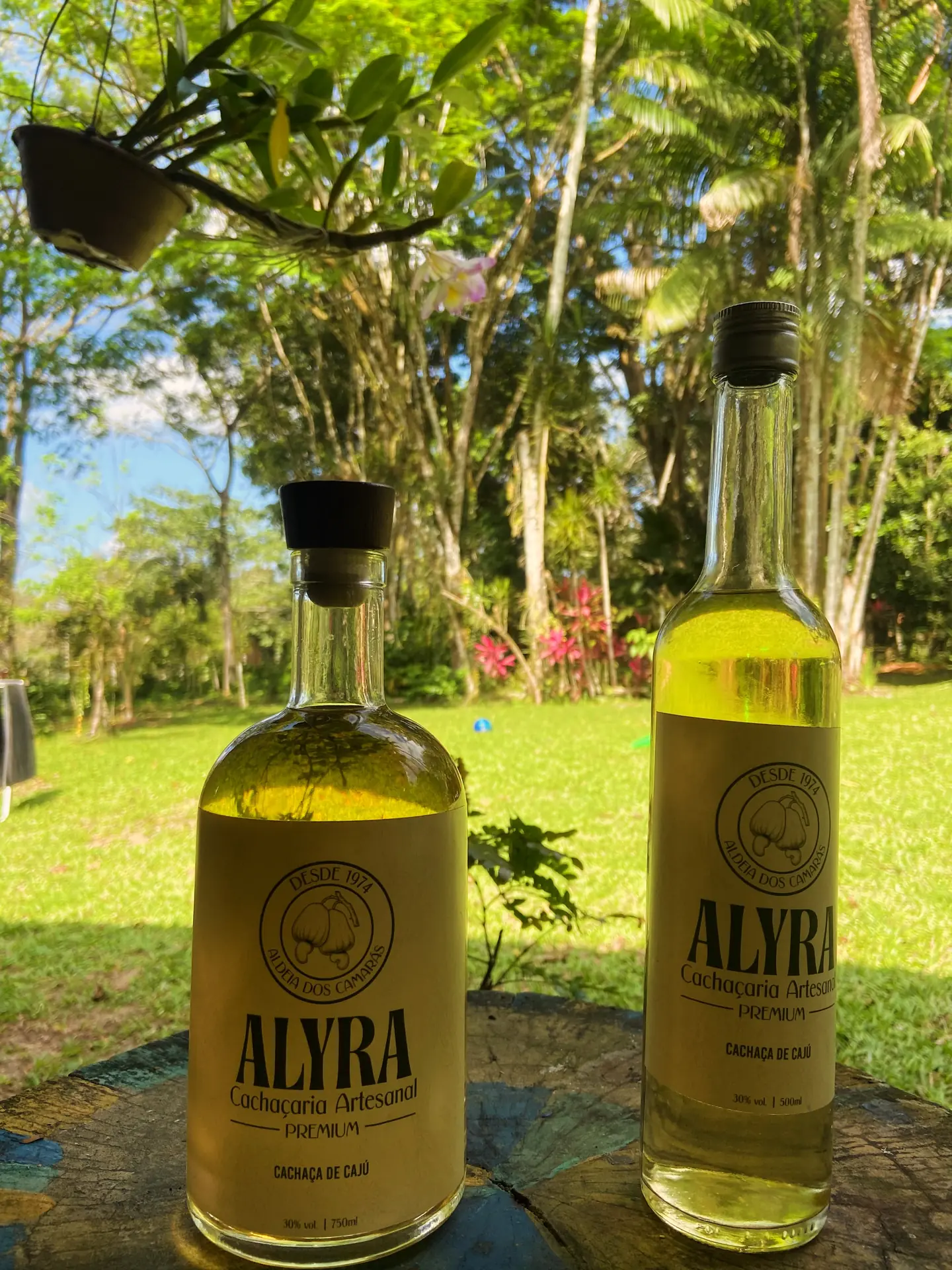 Garrafas de 750 ml e 500 ml da ALYRA sobre um tronco, no jardim em Aldeia